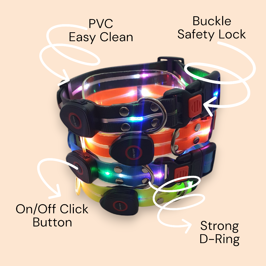 LED Light Up Collar