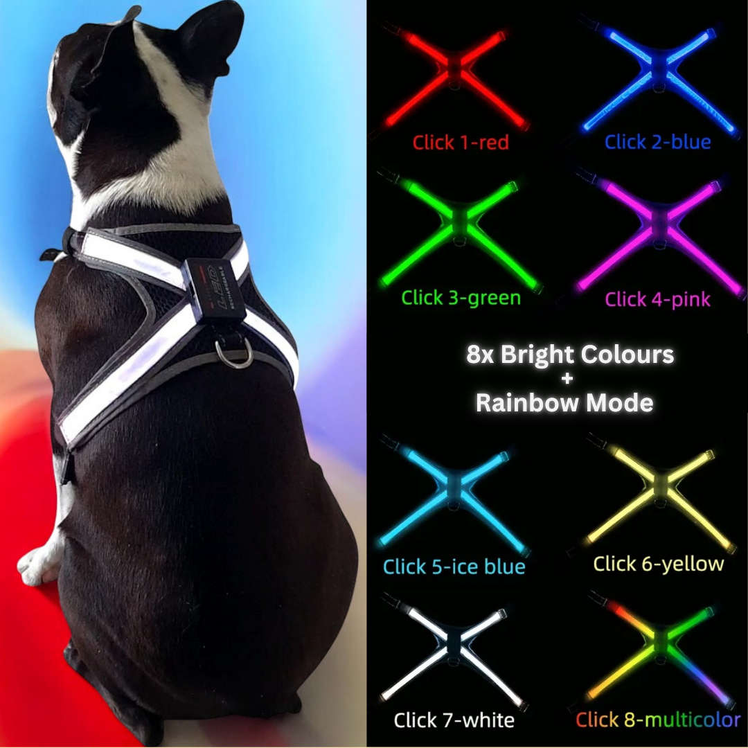 LED HiVis Light Up Harness