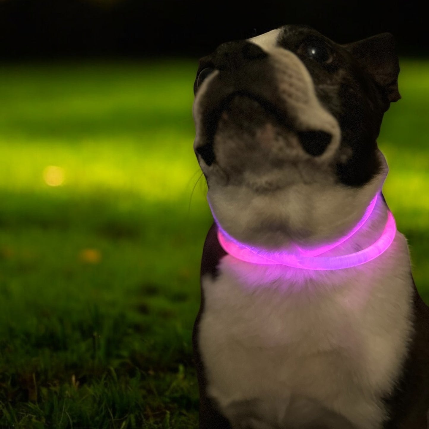 LED Light Up Necklace