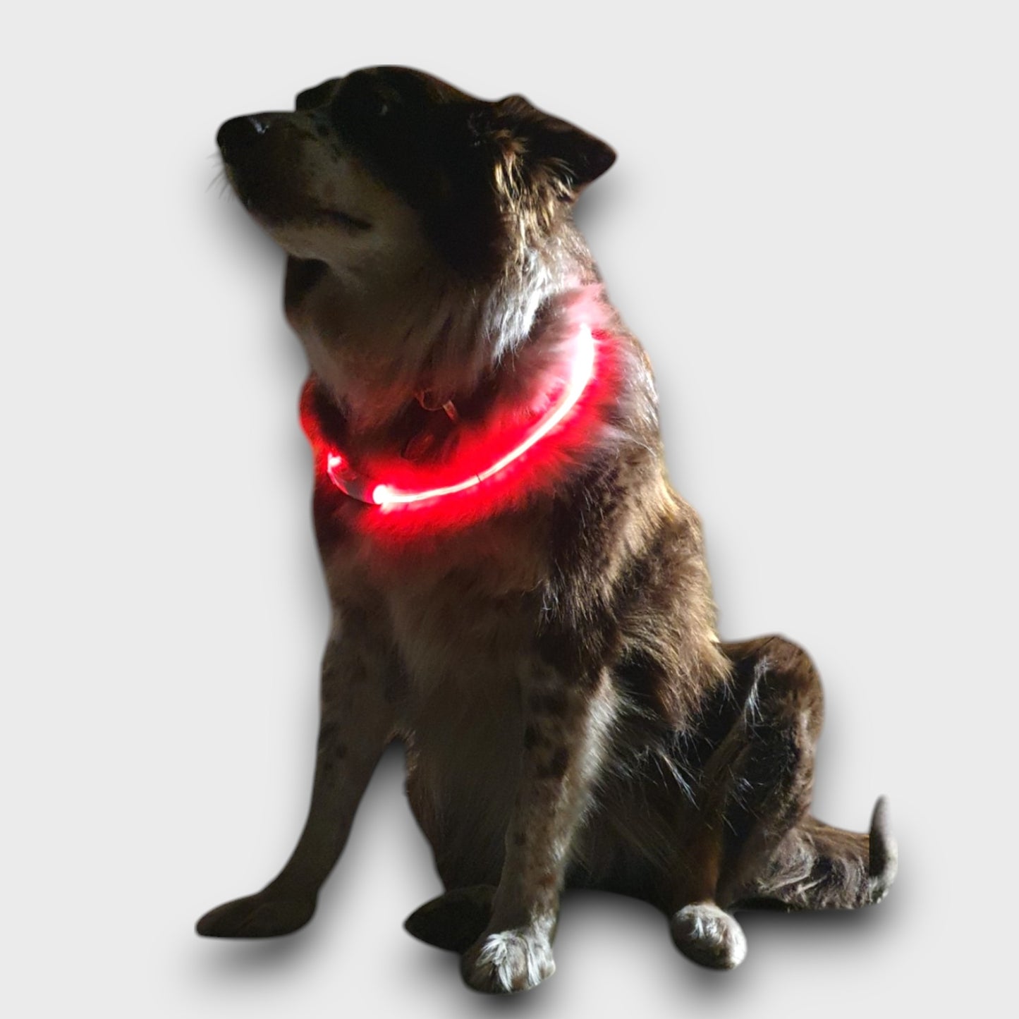 LED Light Up Necklace