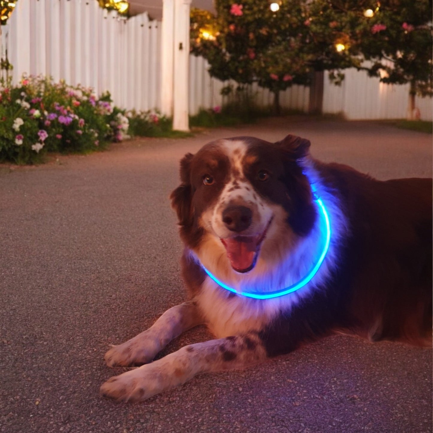 LED Light Up Necklace