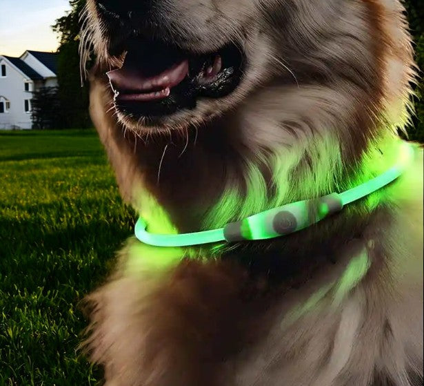 LED Light Up Necklace