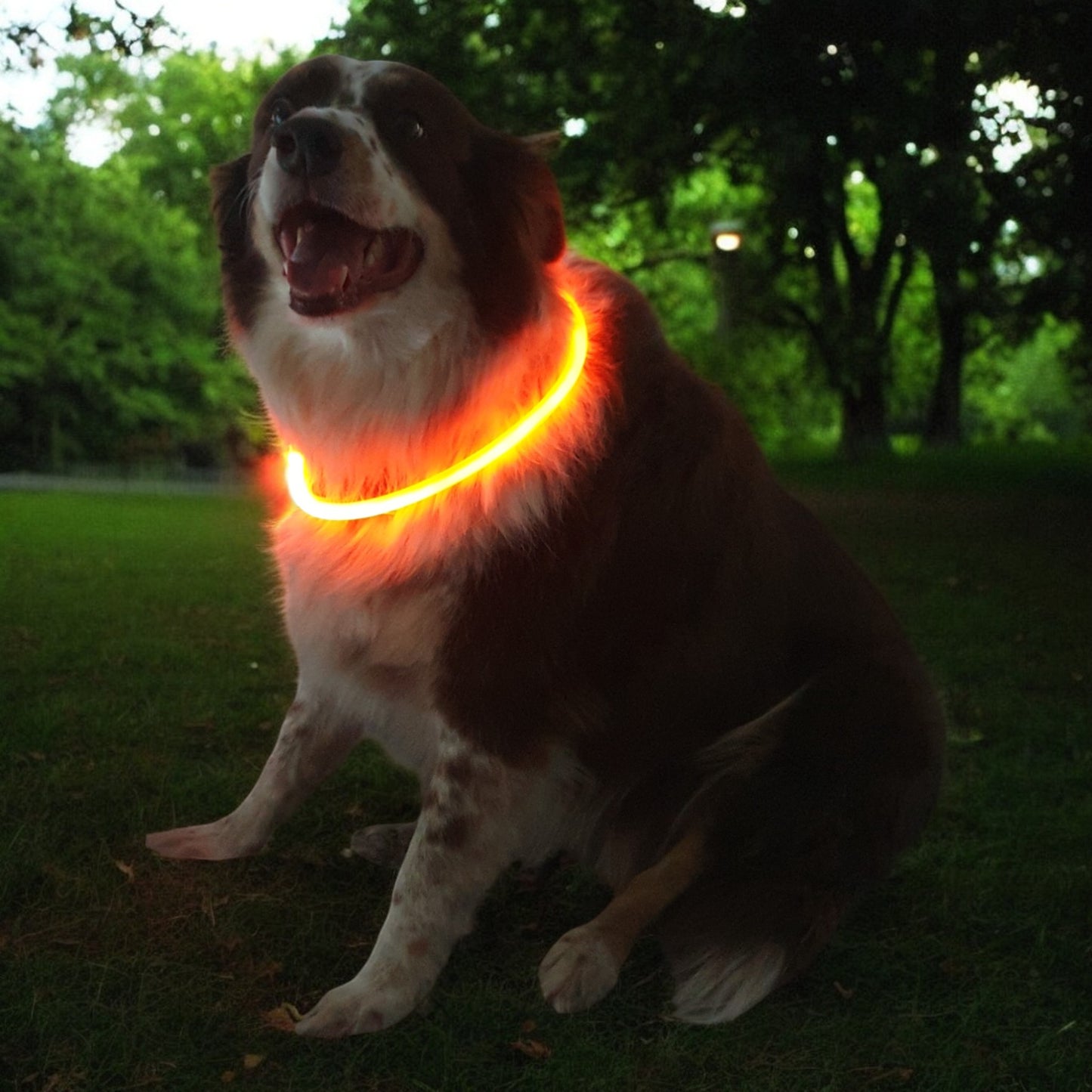 LED Light Up Necklace