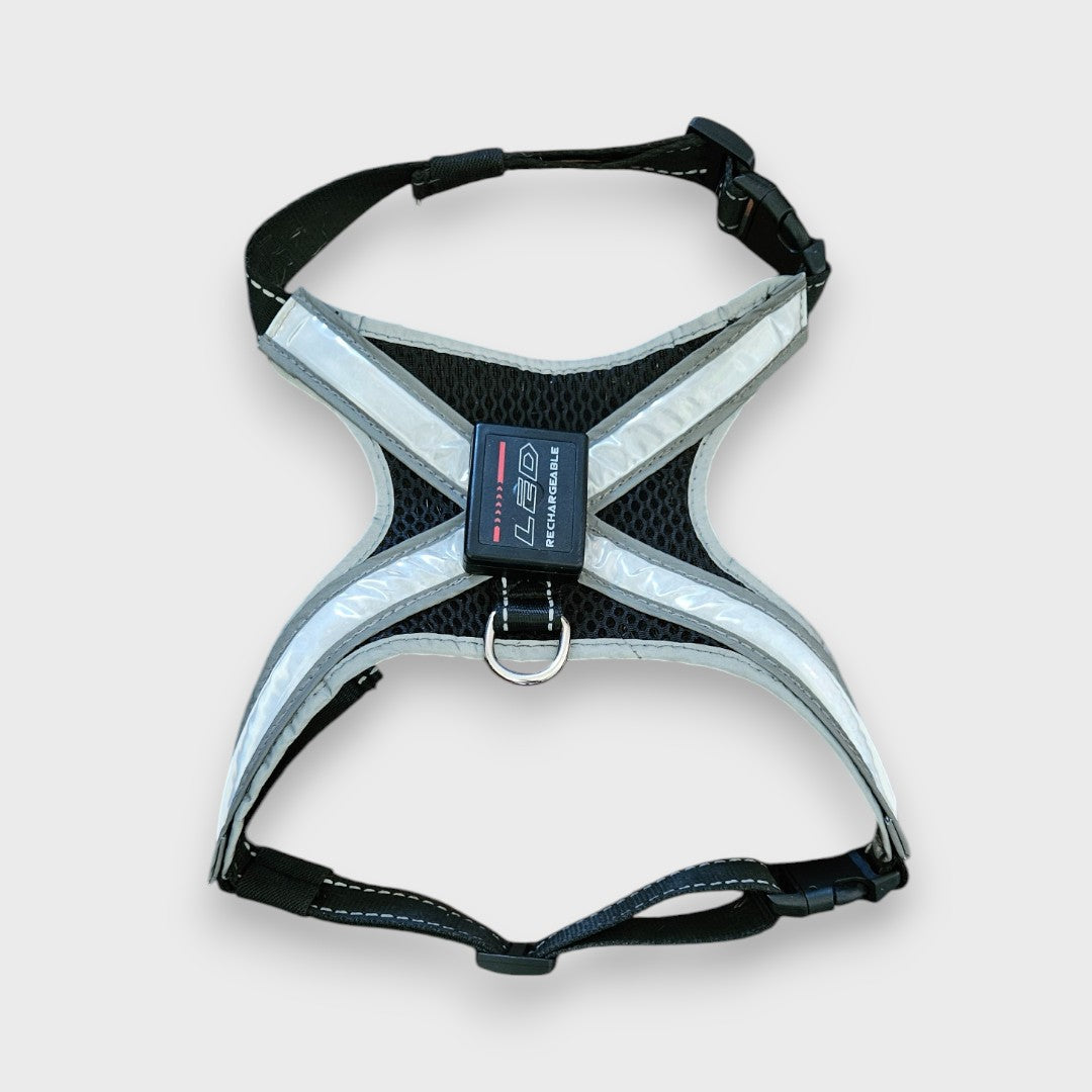 LED HiVis Light Up Harness