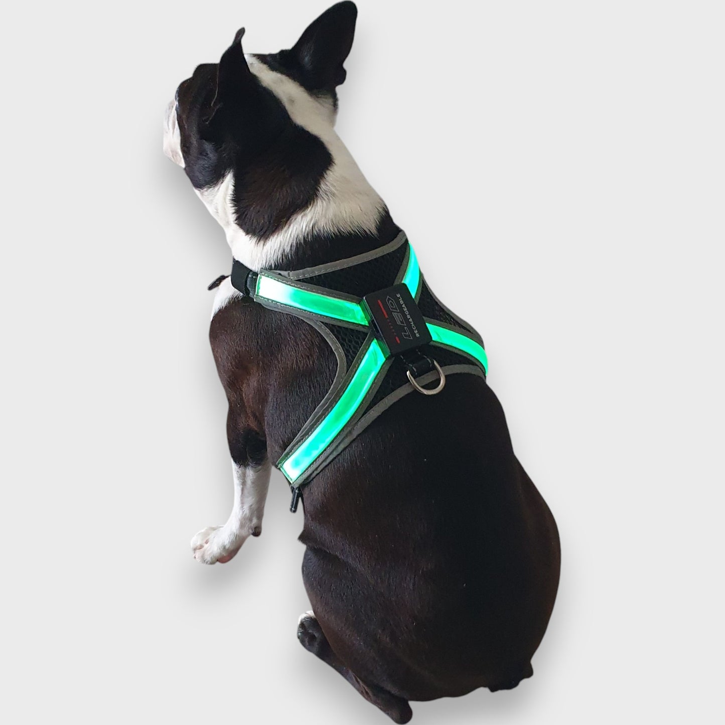 LED HiVis Light Up Harness