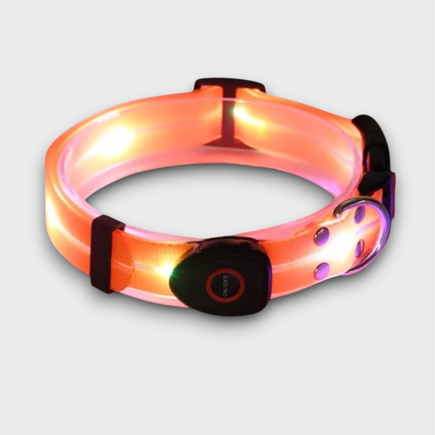 LED Light Up Collar