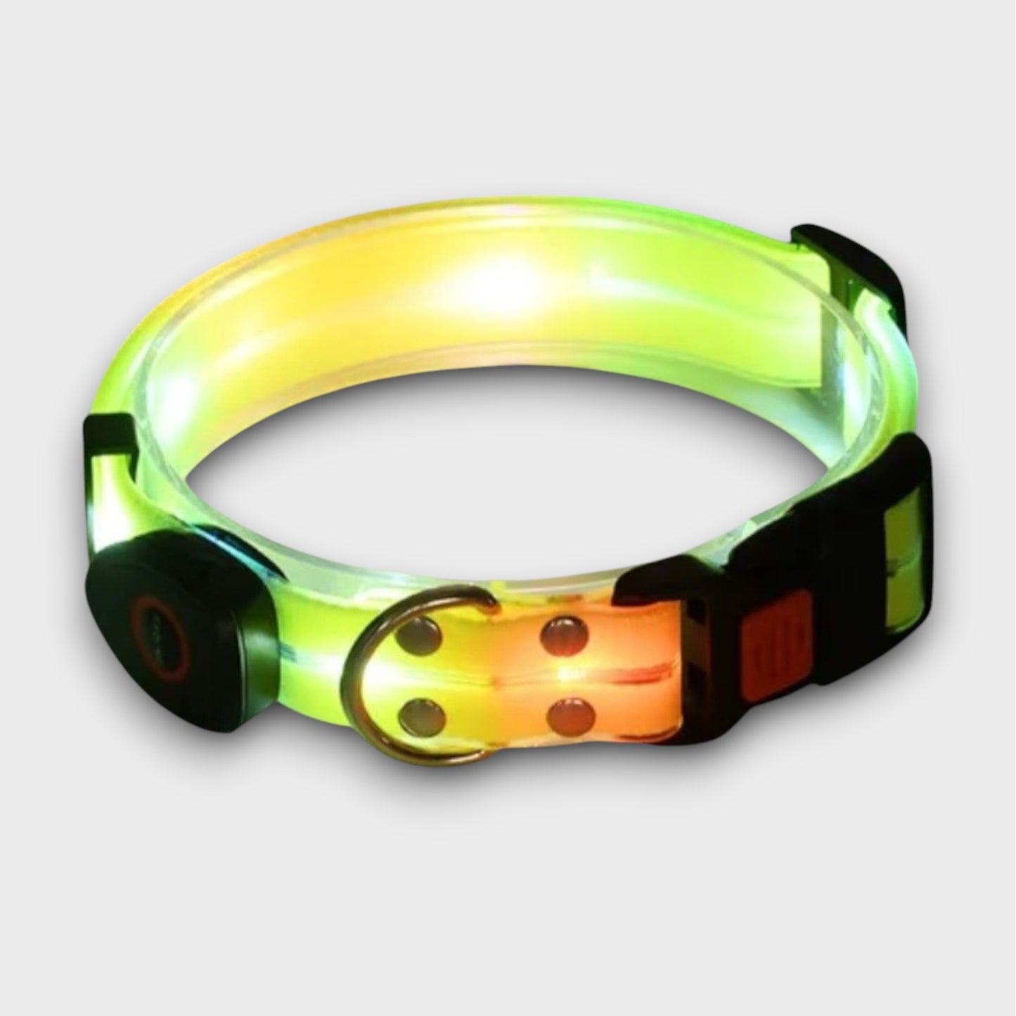 LED Light Up Collar