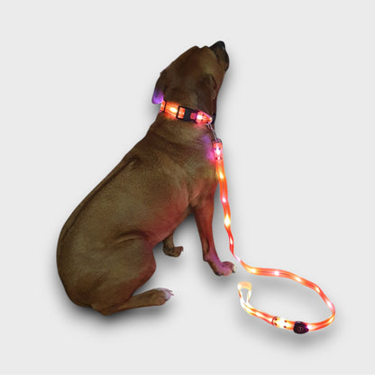 LED Light Up Lead